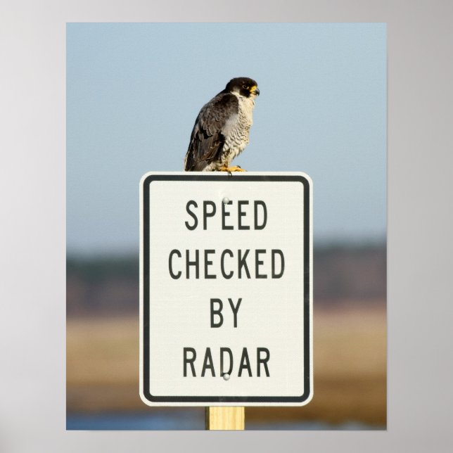 The Ultimate Irony Poster (Front)