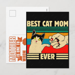 The Ultimate Summer 2026 Cat Mum Holiday Postcard