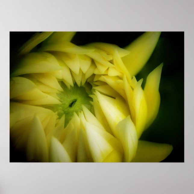 The Unfolding Poster (Front)