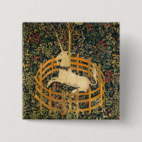 The Unicorn in Captivity