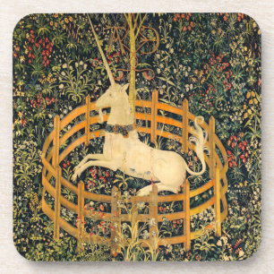 The Unicorn in Captivity Coaster