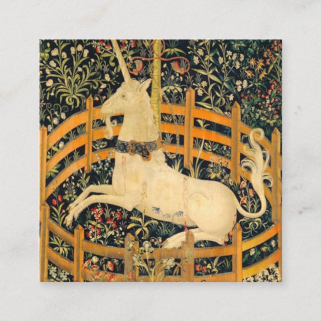 The Unicorn in Captivity Enclosure Card (Front)