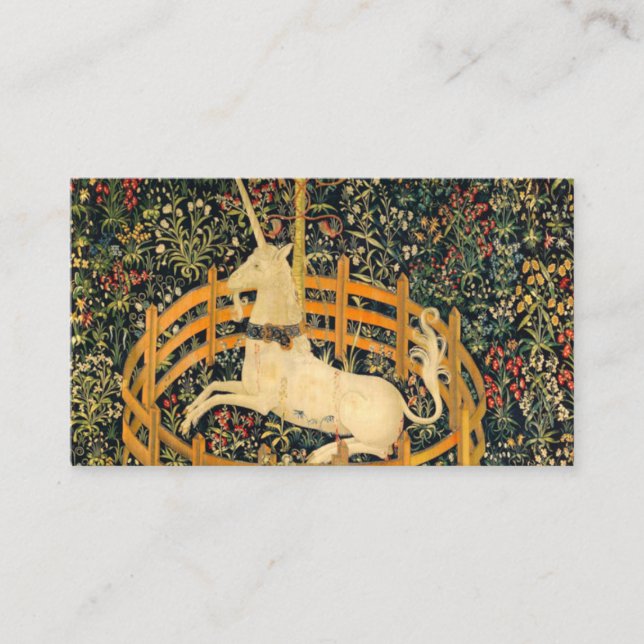 The Unicorn in Captivity Enclosure Card (Front)
