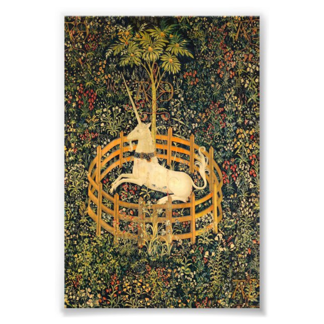 The Unicorn in Captivity Photo Print (Front)