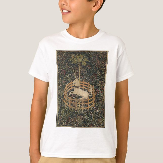 The Unicorn in Captivity T-Shirt (Front)