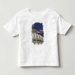 The United States Capitol, Washington, DC Toddler T-Shirt