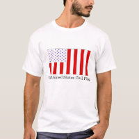 The United States Civil & Military Flags