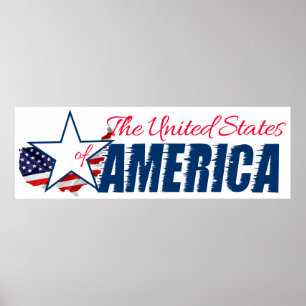 The United States Of America 4th of July Poster