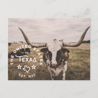 The United States of Texas Postcard