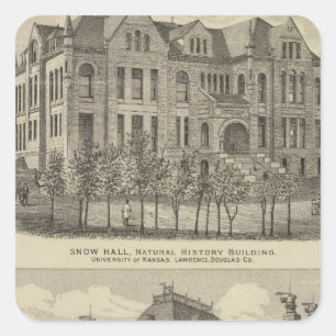 The University of Kansas Square Sticker