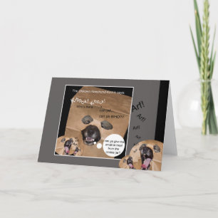 The Unknown Keeshond Komic greeting card