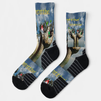 The Unlikely Hero: Witness the "Frog That Carries  Socks