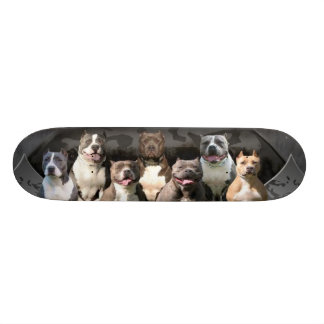 The Untouchables - Pitbull Champion Series Skateboard