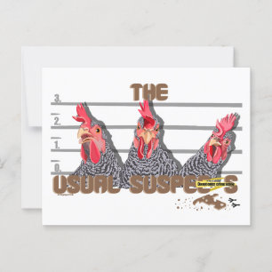 The usual CHICKEN suspects—Barred Rock Hens Postcard