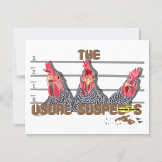 The usual CHICKEN suspects—Barred Rock Hens Postcard