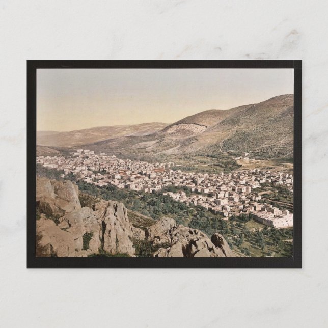 The vale of Napulus, (i.e., Nablus), Holy Land cla Postcard (Front)