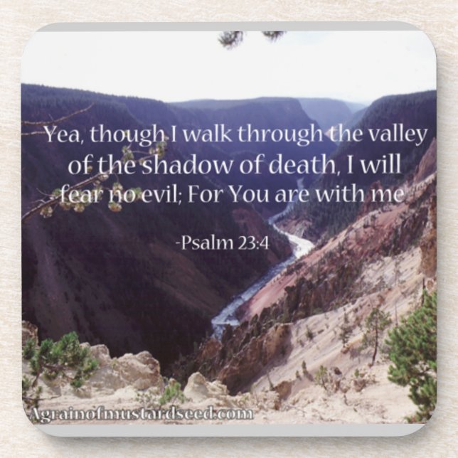 The valley of the shadow of death coaster (Front)