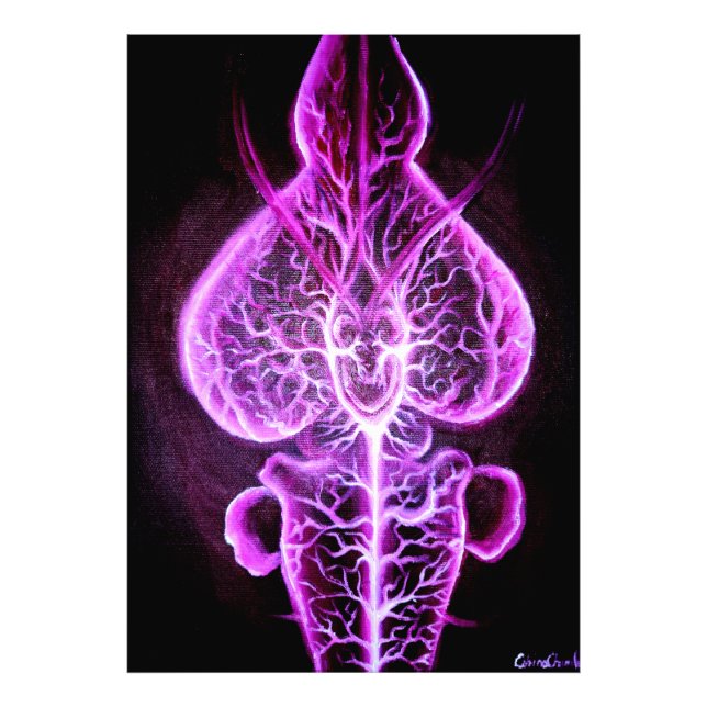 The vascularisation of the nervous system in roden photo print (Front)