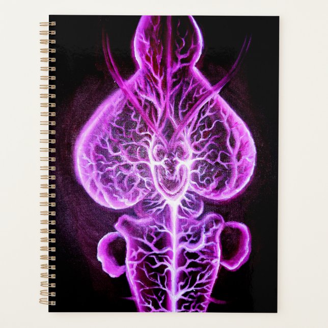 The vascularisation of the nervous system in roden planner (Front)