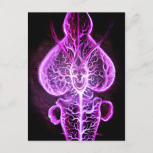 The vascularisation of the nervous system in roden postcard