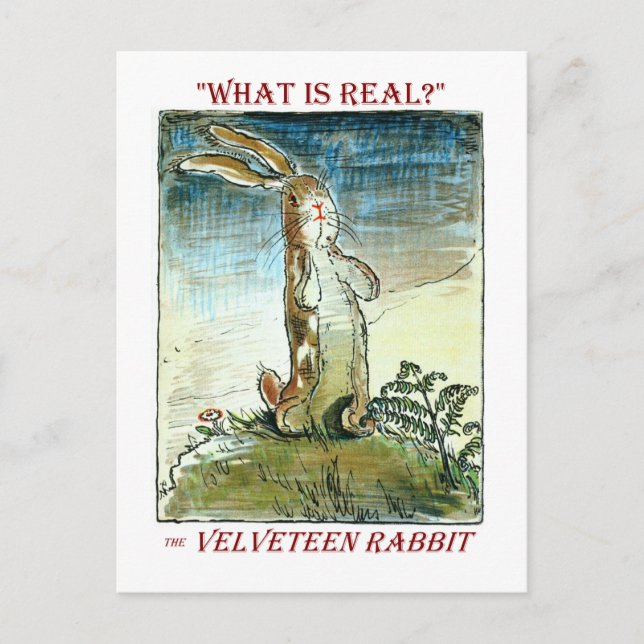 The Velveteen Rabbit Announcement Postcard (Front)