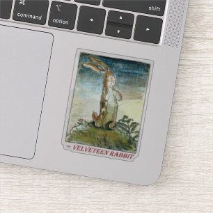 The Velveteen Rabbit by Margery Williams