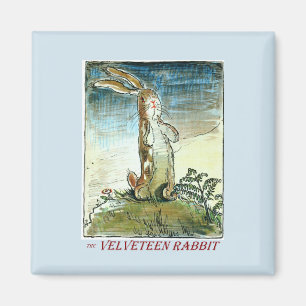 The Velveteen Rabbit Magnet