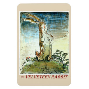 The Velveteen Rabbit - Magnet