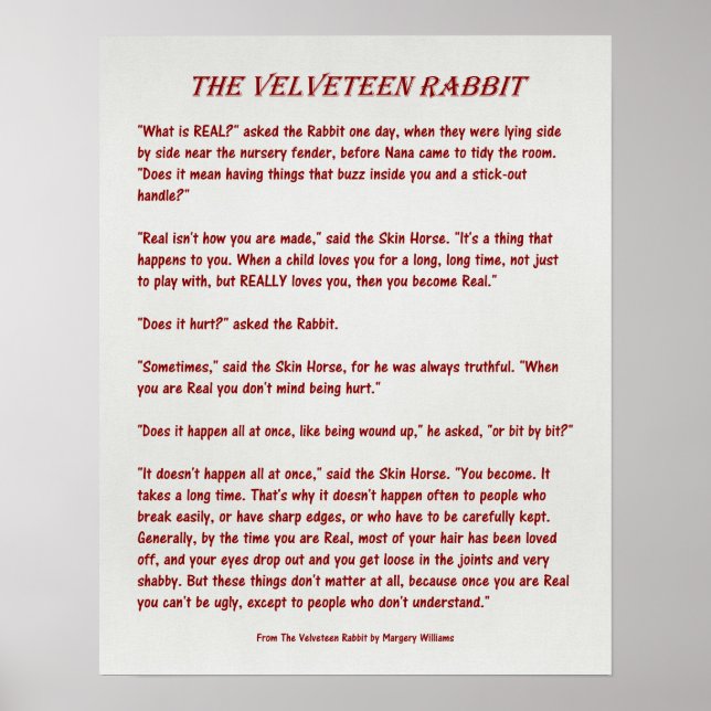 The Velveteen Rabbit - What is Real? - Poster (Front)
