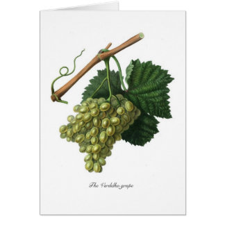 The Verdelho grape