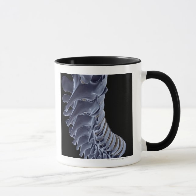 The Vertebral Column Mug (Right)