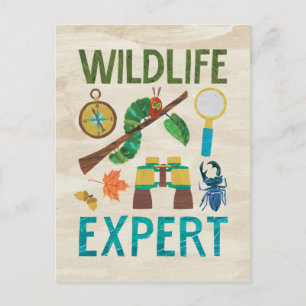 The Very Hungry Caterpillar Wildlife Expert  Postcard