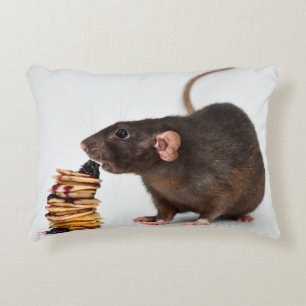The Very Hungry Rat Decorative Cushion