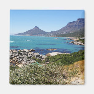 The view from Chapman's Peak, Cape Town Magnet