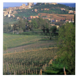 The village of San Gimignano sits in the rolling Tile