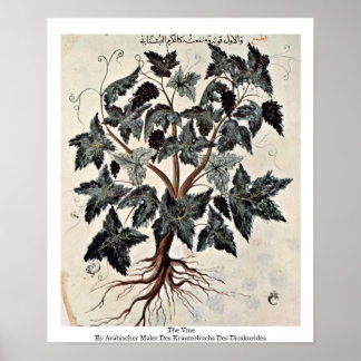 The Vine Poster