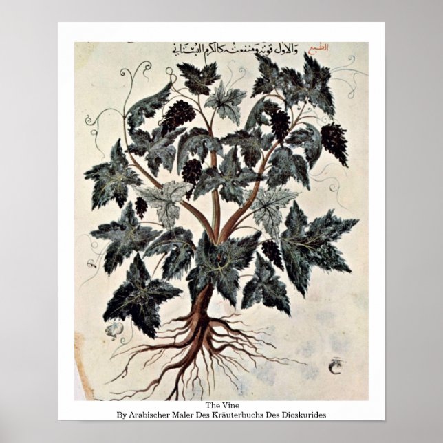 The Vine Poster (Front)