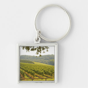 The vineyard and a valley with a forest - key ring