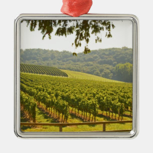 The vineyard and a valley with a forest - metal tree decoration