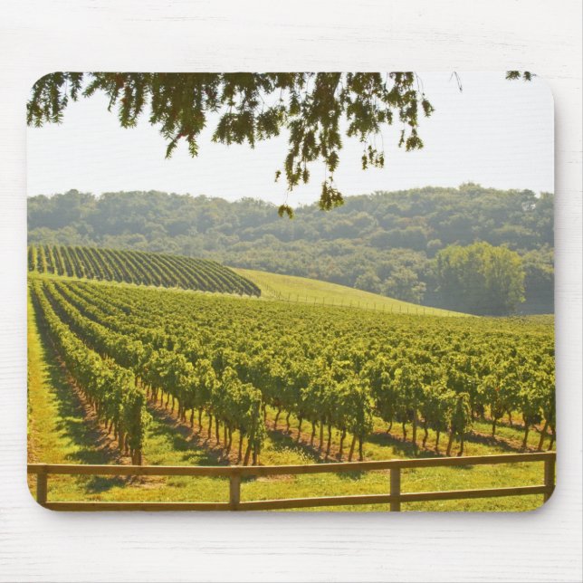 The vineyard and a valley with a forest - mouse mat (Front)