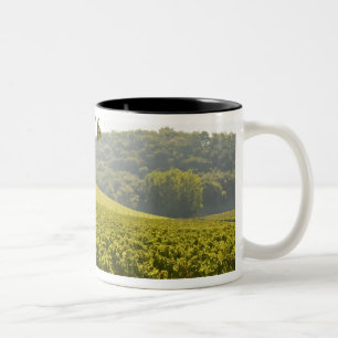 The vineyard and a valley with a forest - Two-Tone coffee mug