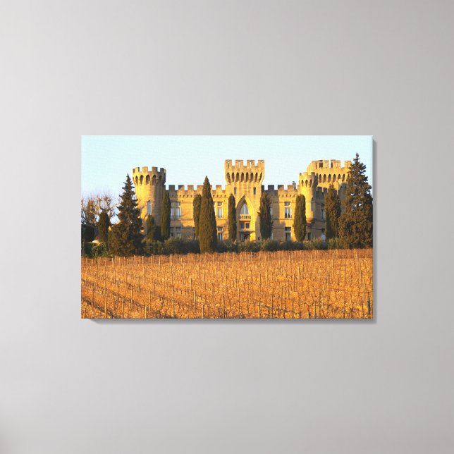 The vineyard with syrah vines and the chateau canvas print (Front)