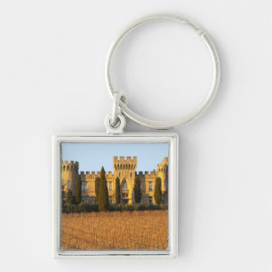 The vineyard with syrah vines and the chateau key ring
