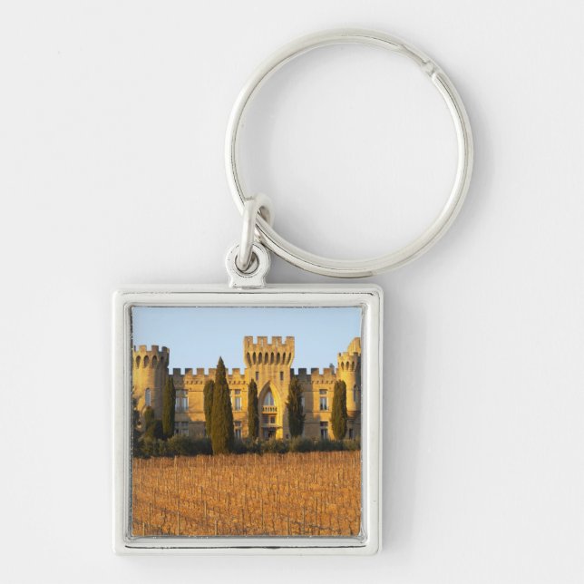 The vineyard with syrah vines and the chateau key ring (Front)