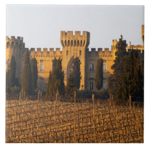 The vineyard with syrah vines and the chateau tile