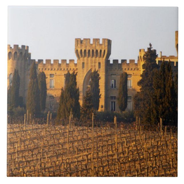 The vineyard with syrah vines and the chateau tile (Front)