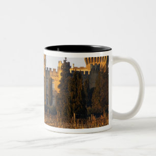 The vineyard with syrah vines and the chateau Two-Tone coffee mug