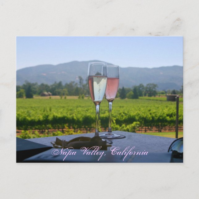 The Vineyards of Napa Valley Postcard (Front)
