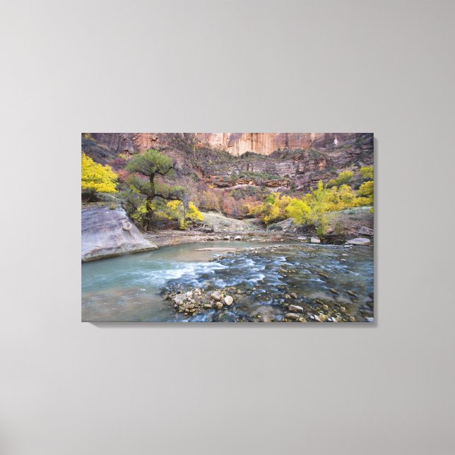 The Virgin River in autumn in Zion National Park Canvas Print (Front)
