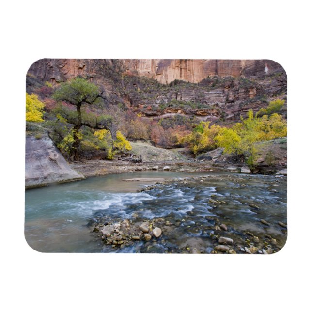 The Virgin River in autumn in Zion National Park Magnet (Horizontal)